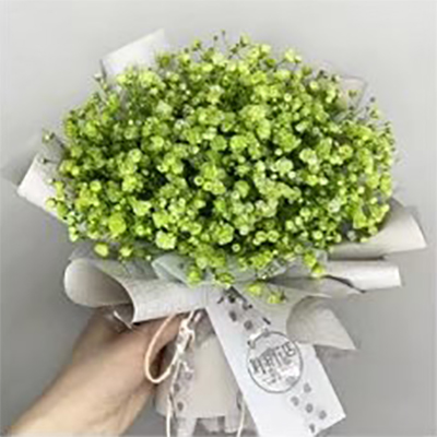 Giấy gói bó hoa có kết cấu đơn giản